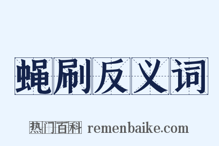 蝇刷反义词是什么意思的图片